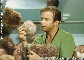 tribbles1.jpg